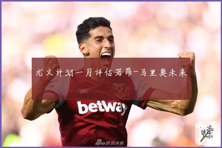 尤文计划一月评估若昂-马里奥未来
