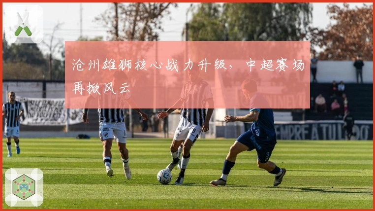 沧州雄狮核心战力升级,中超赛场再掀风云